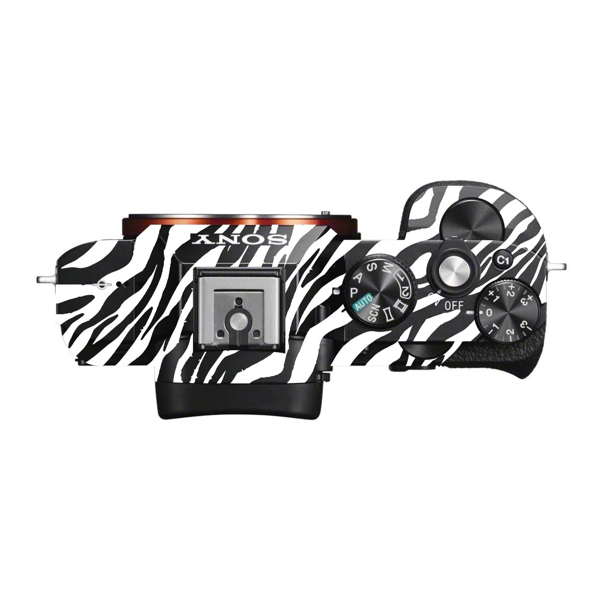 Classic Zebra Stripes Sony A7 S Camera Skin