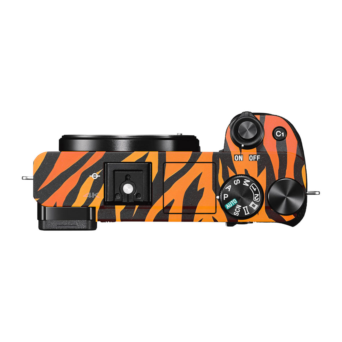 Wild Tiger Stripes Sony A6000 Camera Skins