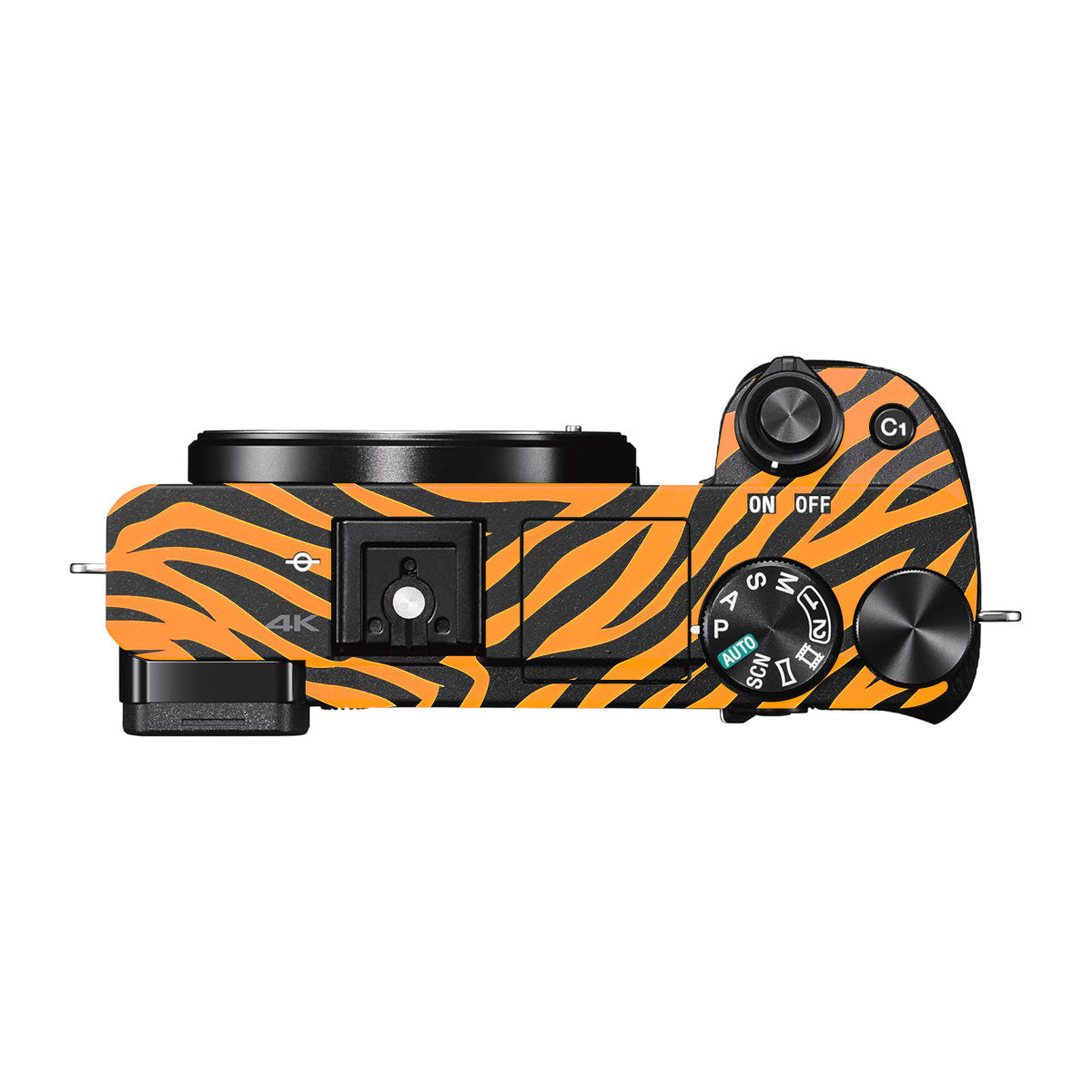 Zebra Gold Pattern Sony A6000 Camera Skins