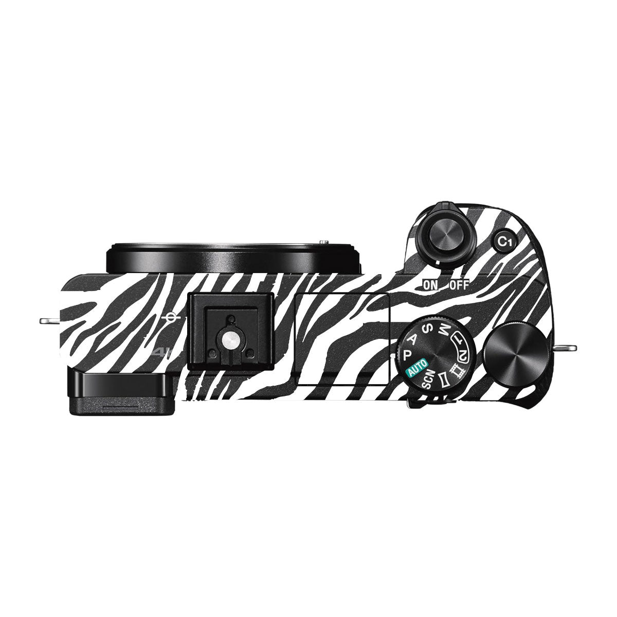 Classic Zebra Stripes Sony A6000 Camera Skins