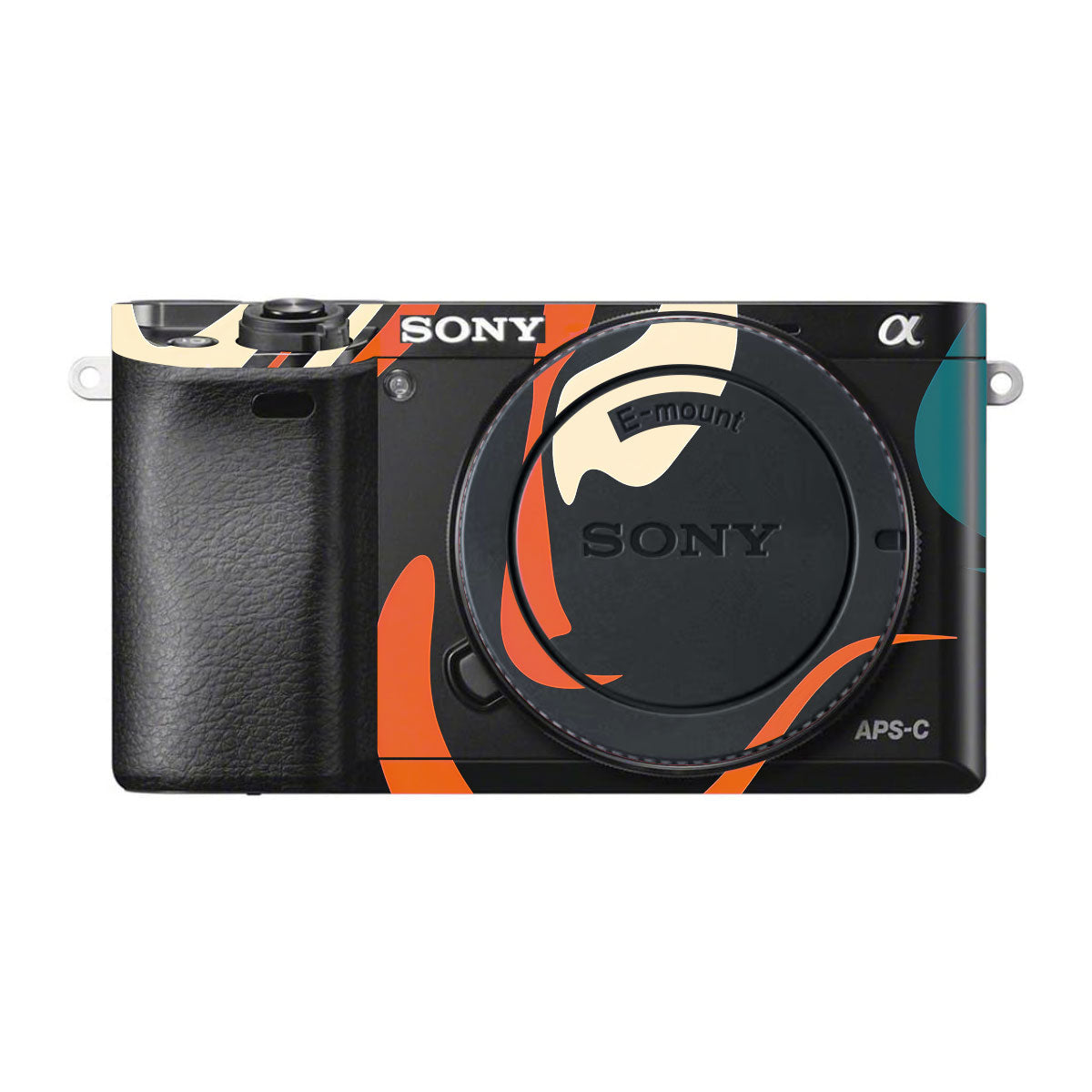 Mid-Century Abstract Swirl Sony A6000 Camera Skins