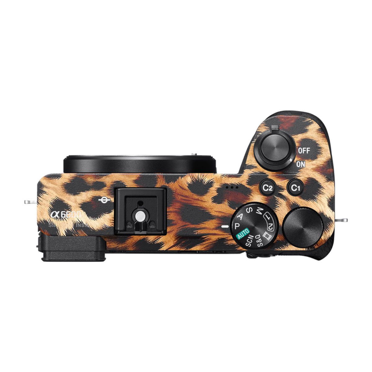 Classic Leopard Spots Sony A6600 Camera Skins