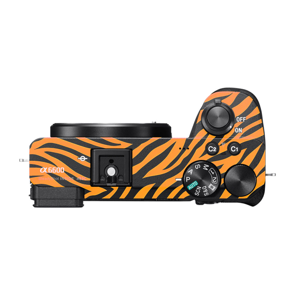 Zebra Gold Pattern Sony A6600 Camera Skins