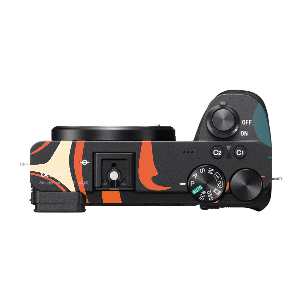 Mid-Century Abstract Swirl Sony A6600 Camera Skins