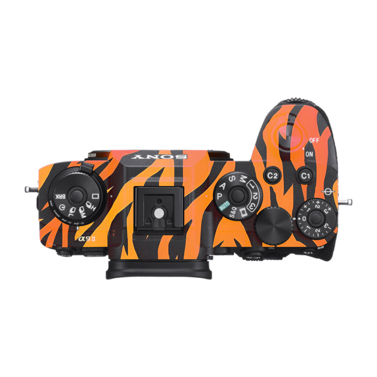 Wild Tiger Stripes Sony A9 Camera Skins