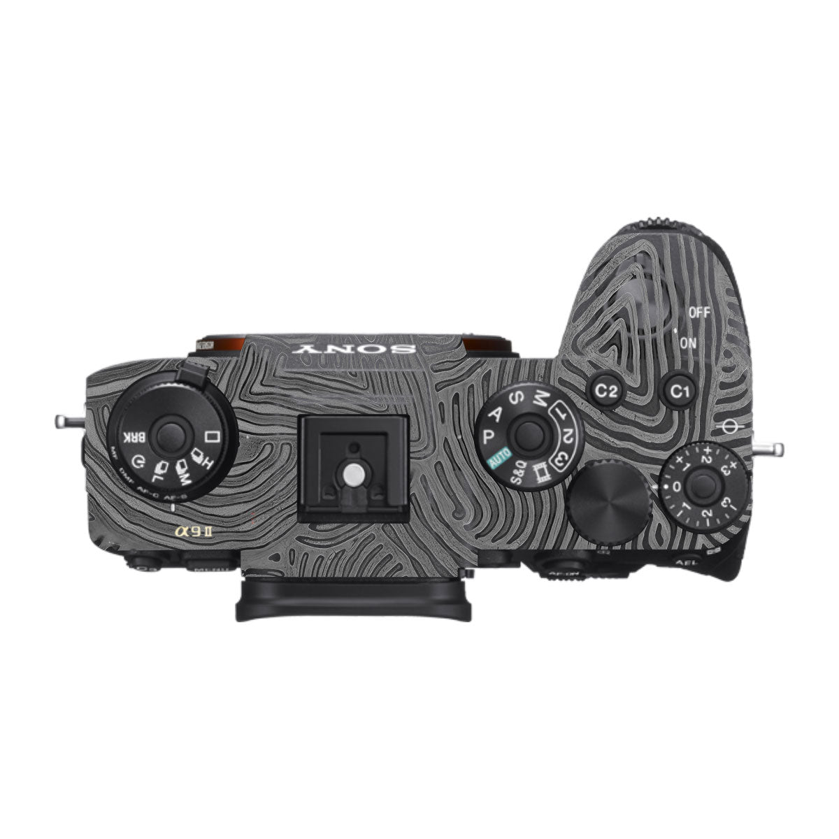 Monochrome Line Maze Sony A9 Camera Skins