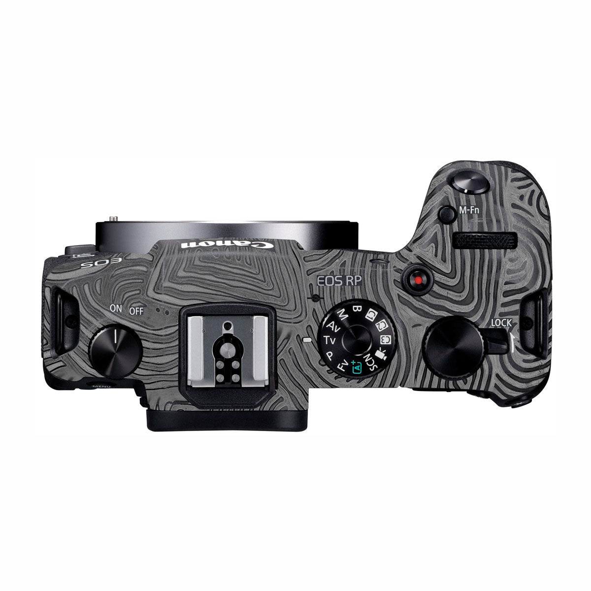Monochrome Line Maze Canon EOS RP Camera Skins