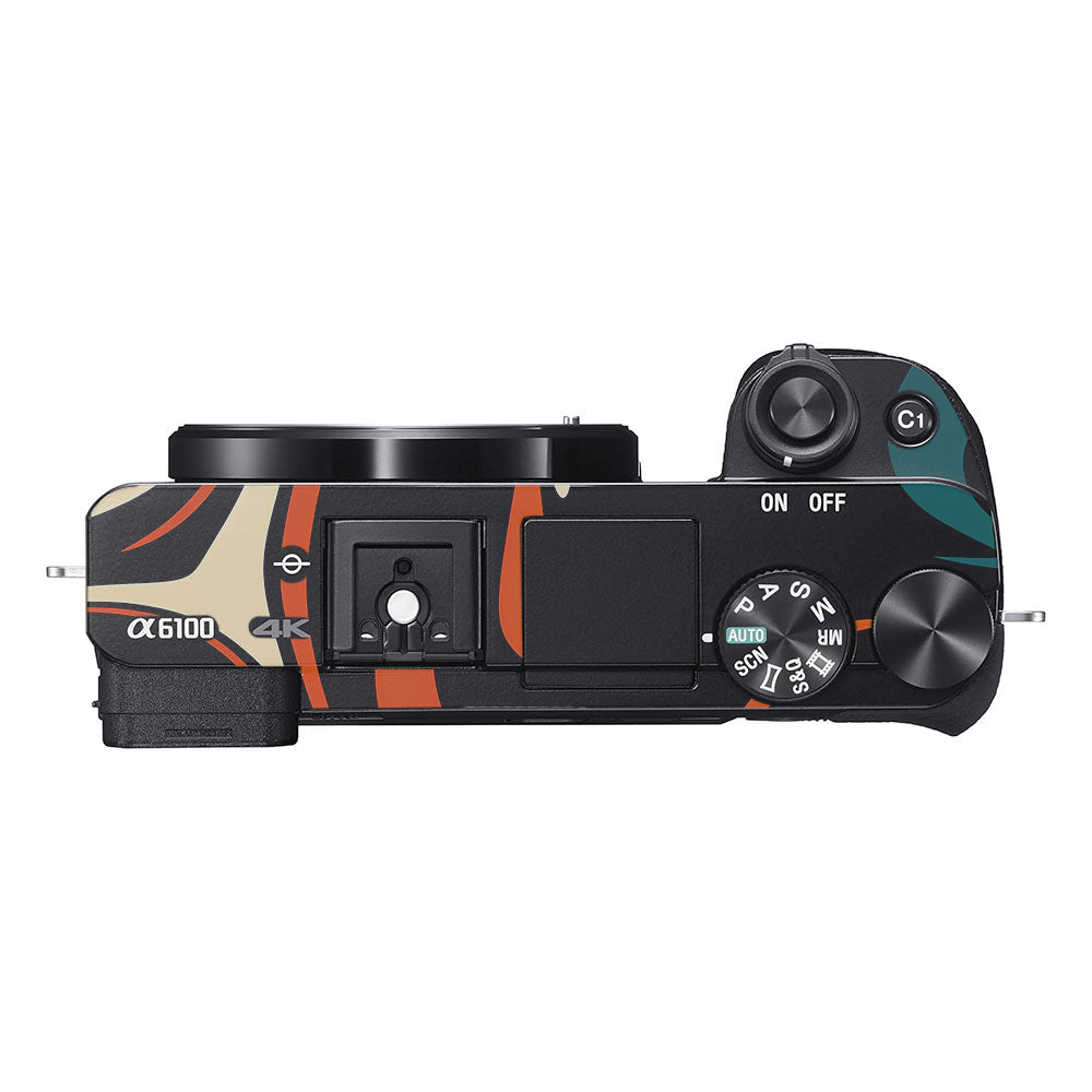 Mid-Century Abstract Swirl Sony A6100 Camera Skin