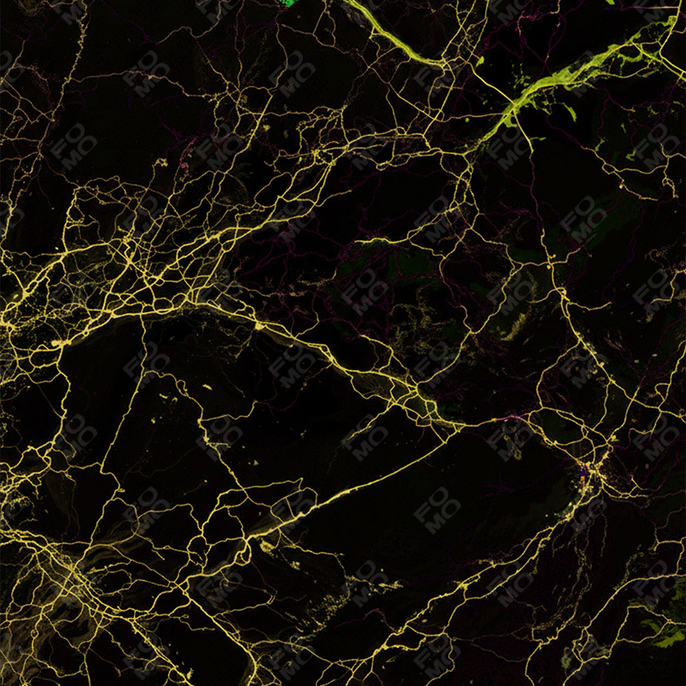 Electric Gold Veins Sony A7RV Camera Skin