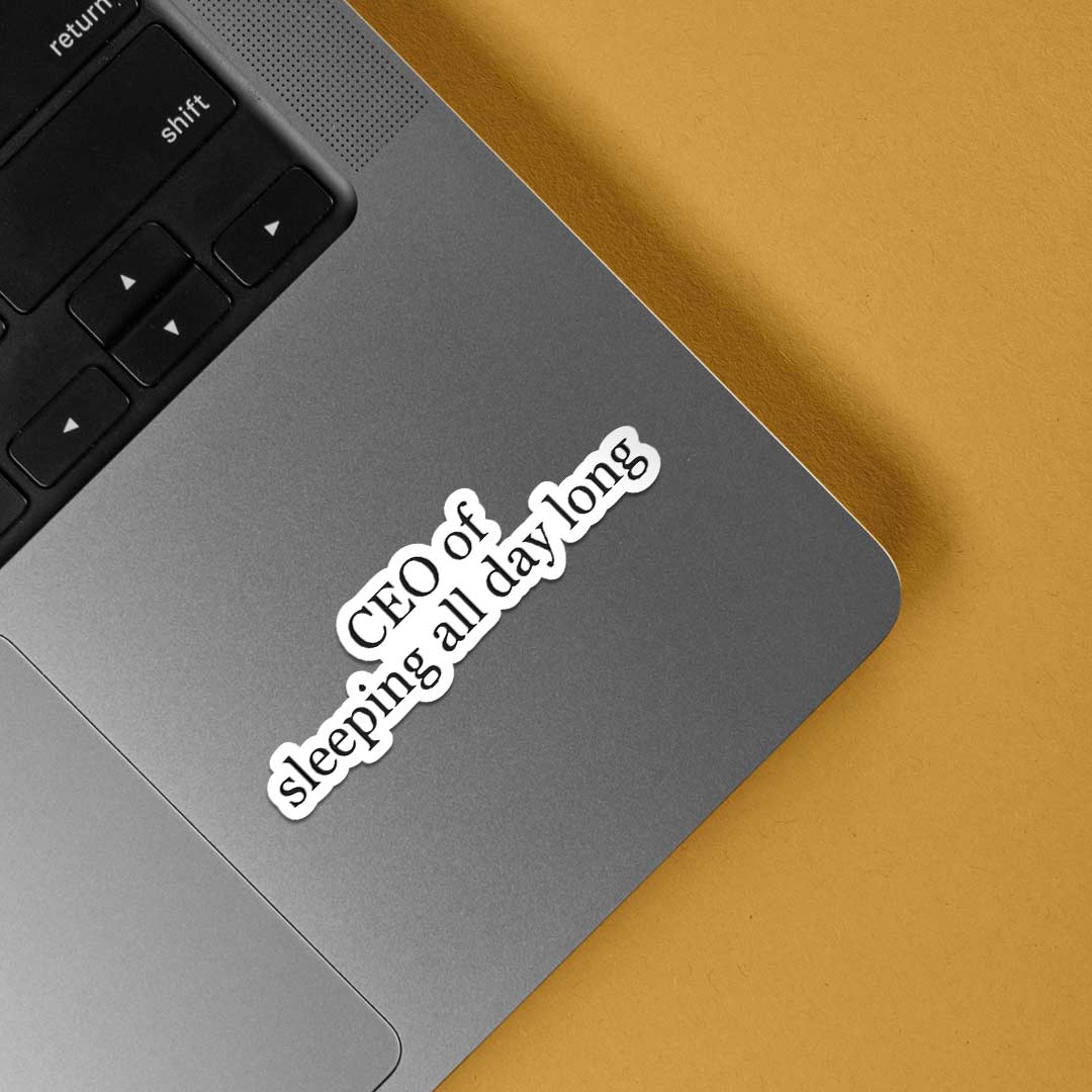 CEO of sleeping all day Witty Stickers