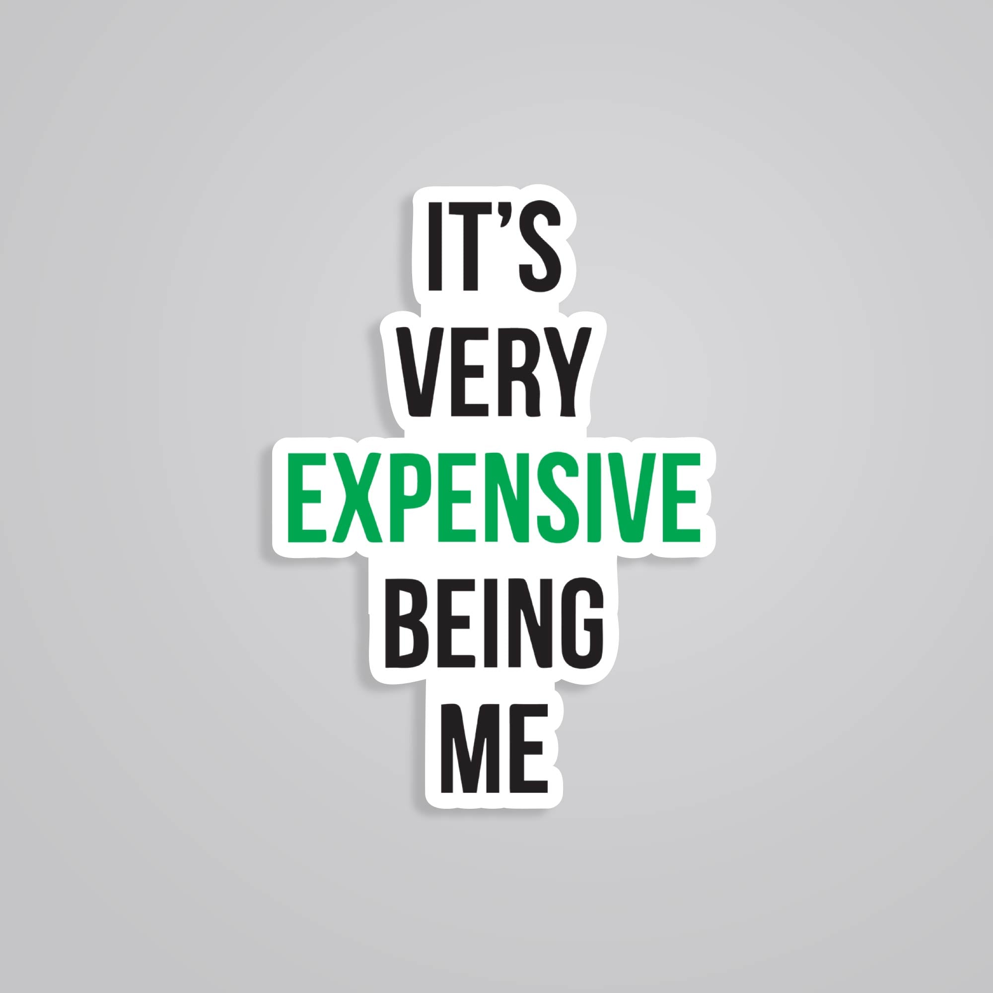 Fomo Store Stickers Witty Its very expensive being me