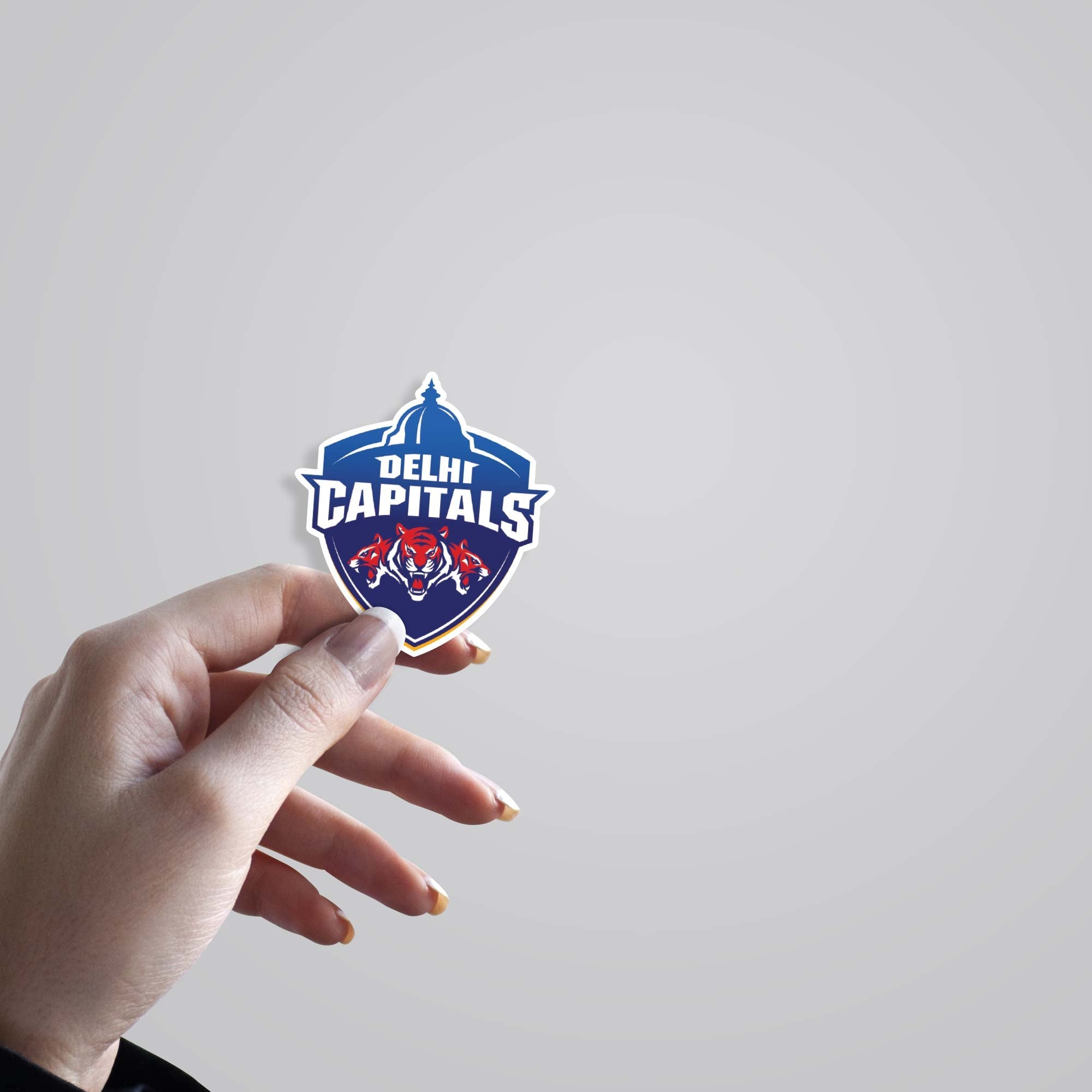 Delhi Capitals Logo Sports Stickers