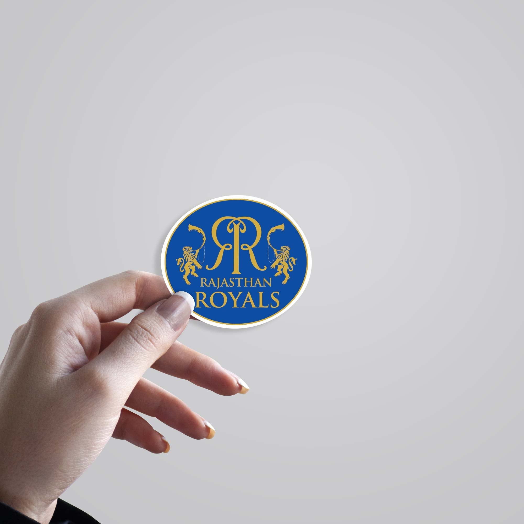 Rajasthan Royals Logo Sports Stickers