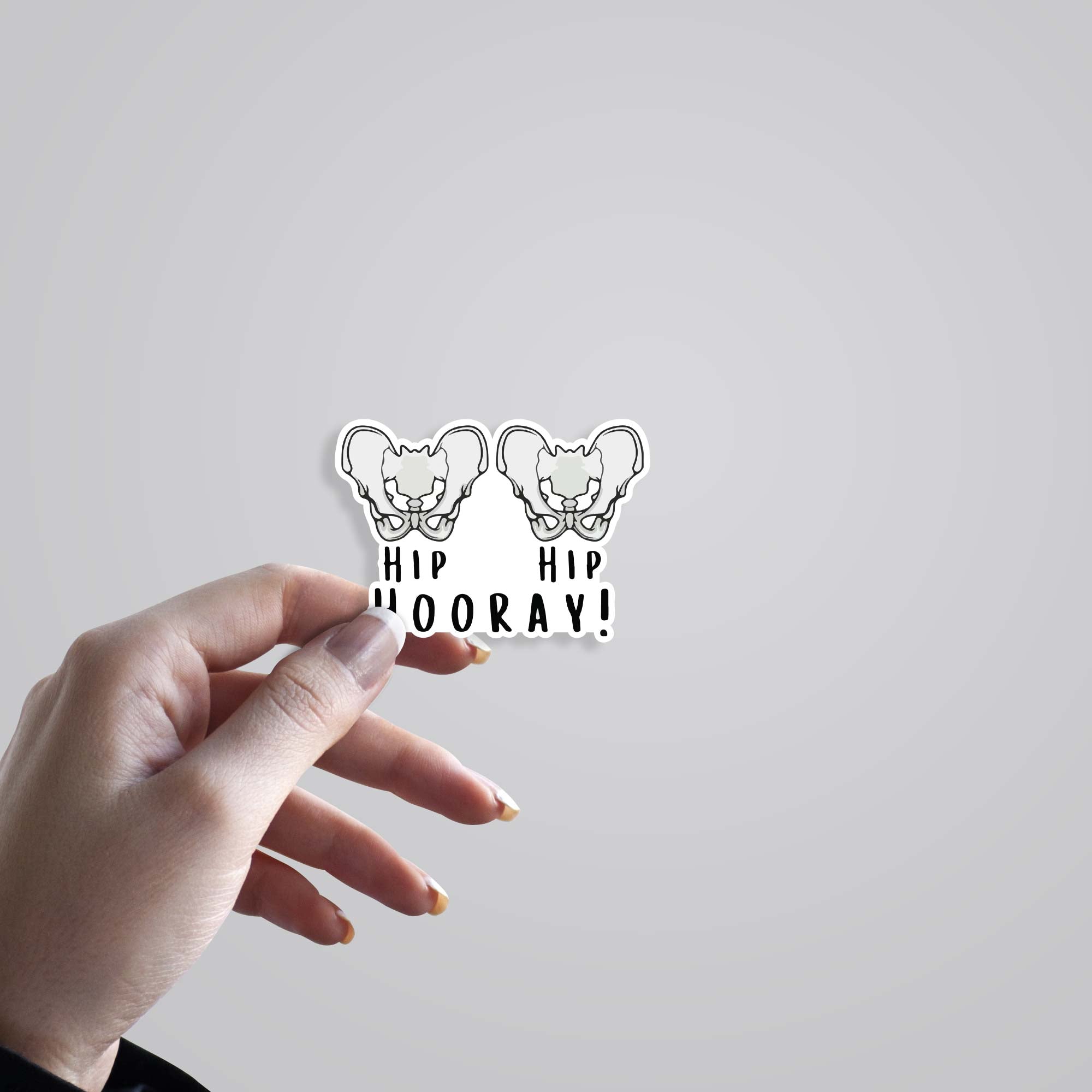 Hip Hip Hooray Witty Stickers