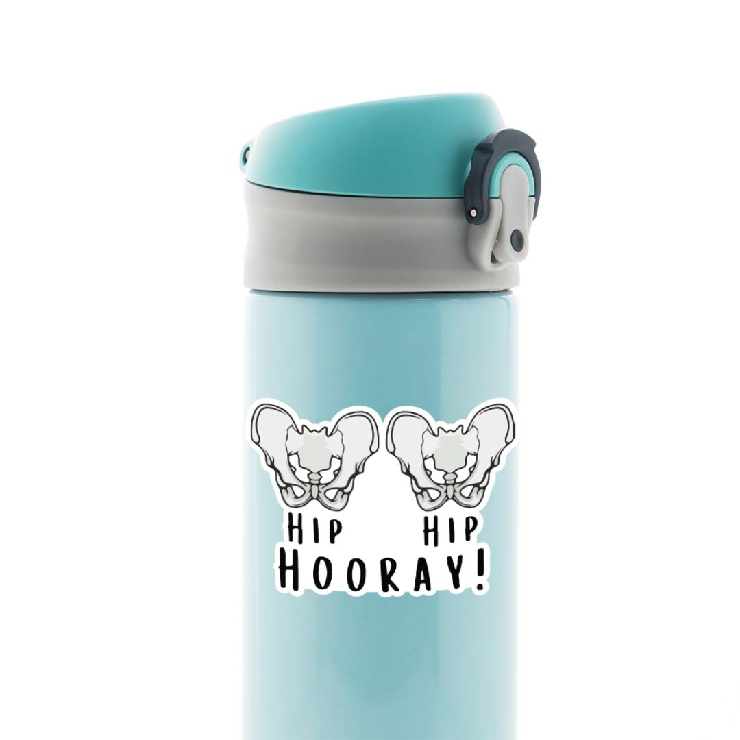 Hip Hip Hooray Witty Stickers