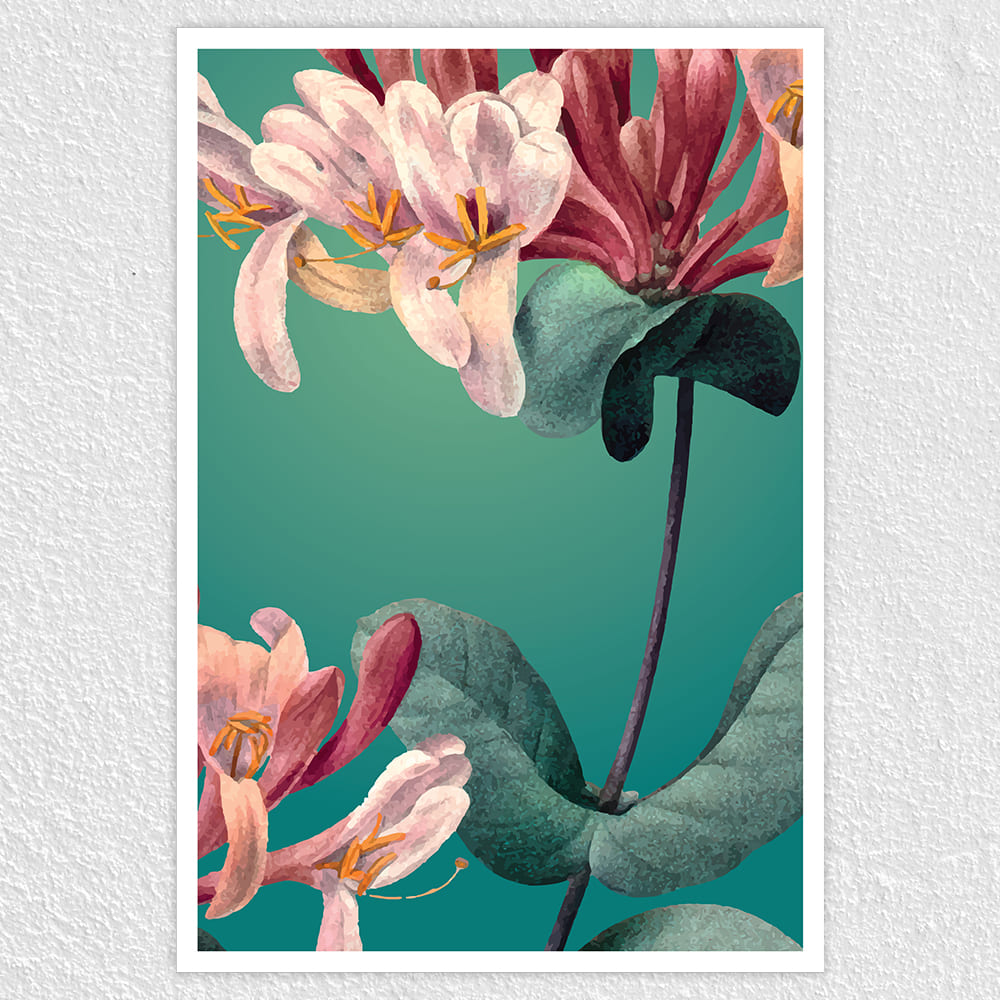 Fomo Store Posters Botanical Honey Suckle Flower
