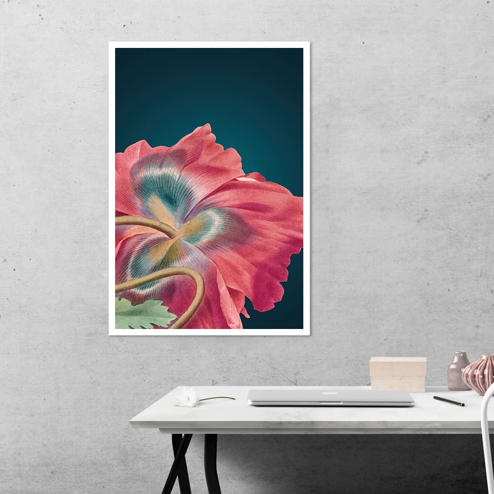 Poppy Flower Botanical Poster