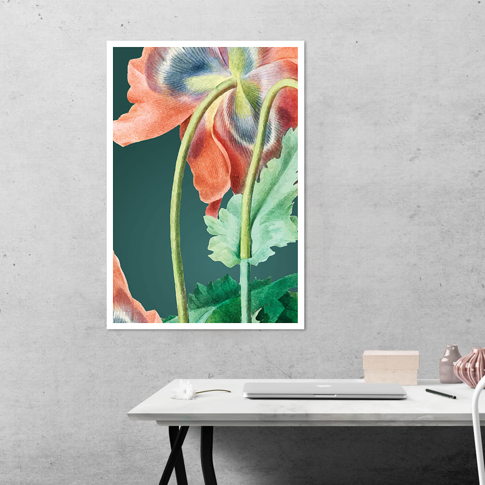 Poppy Stem Flower Botanical Poster