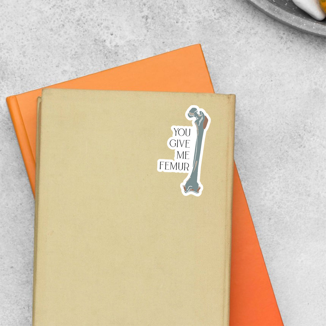 You Give Me FEMUR Witty Stickers