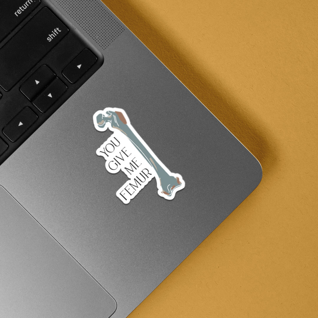 You Give Me FEMUR Witty Stickers
