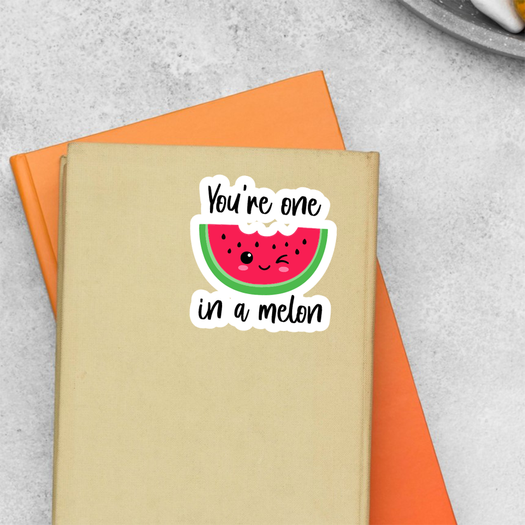 You're One in a Melon Witty Stickers