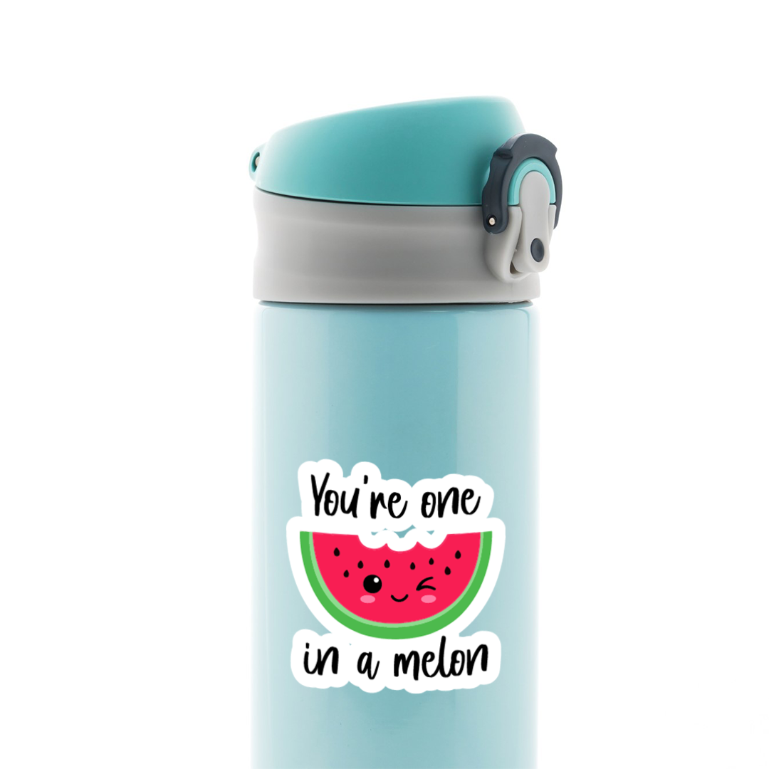 You're One in a Melon Witty Stickers