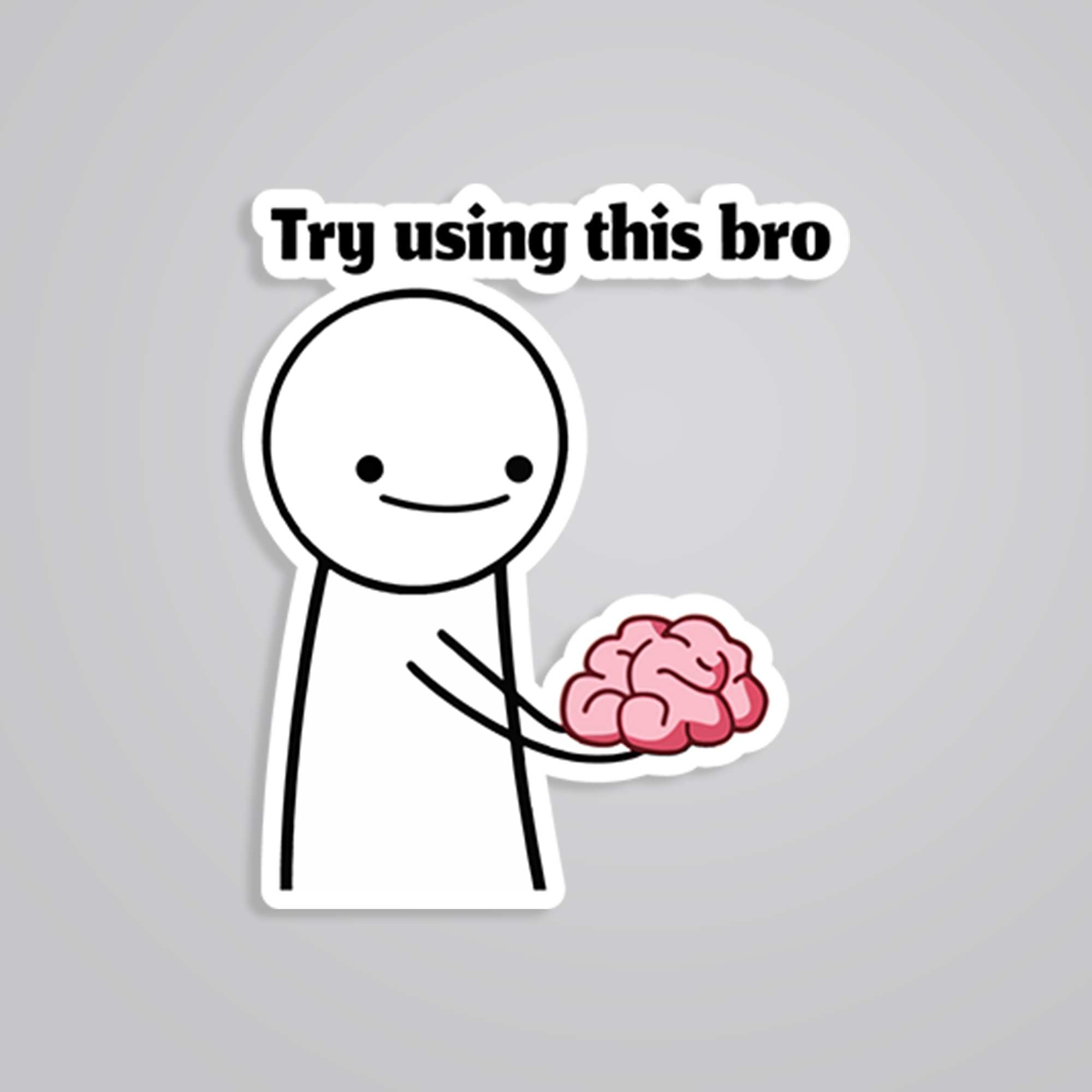 Fomo Store Stickers Meme Stickers Try Using This Bro