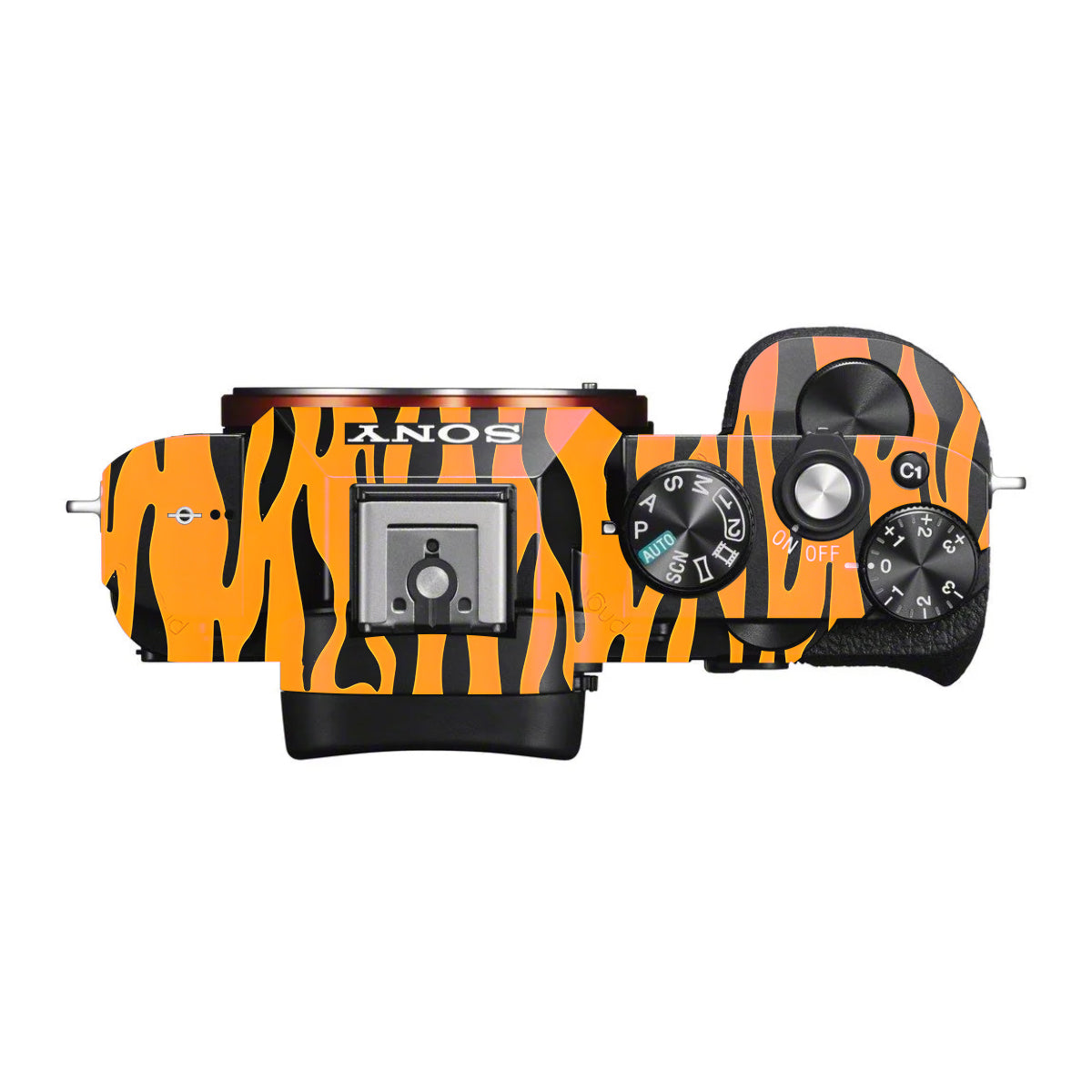 Savanna Tiger Stripes Sony A7 S Camera Skin
