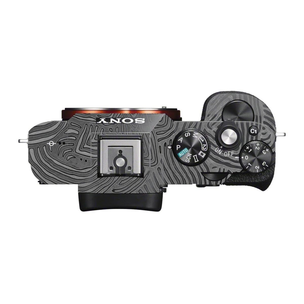 Monochrome Line Maze Sony A7 S Camera Skin