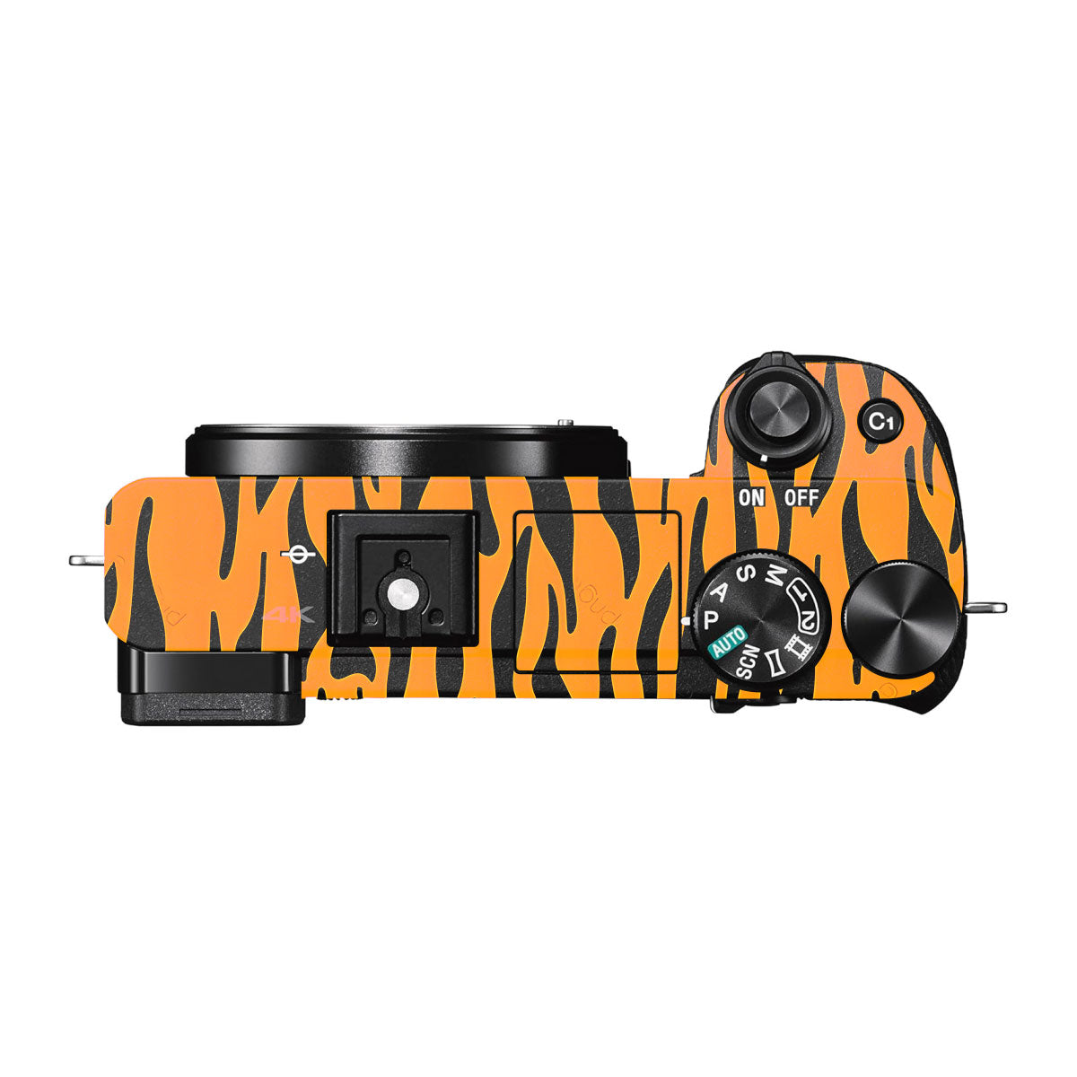 Savanna Tiger Stripes Sony A6000 Camera Skins