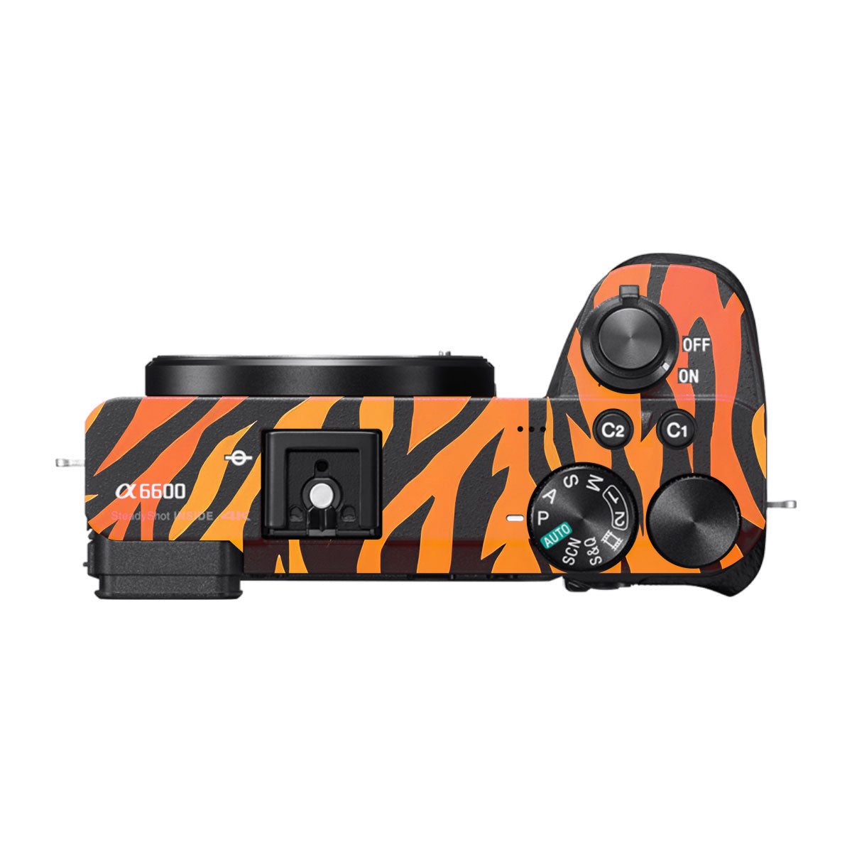 Wild Tiger Stripes Sony A6600 Camera Skins