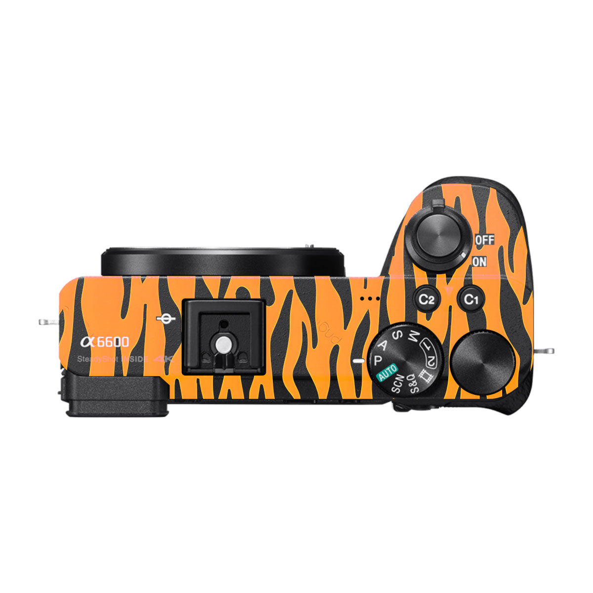 Savanna Tiger Stripes Sony A6600 Camera Skins