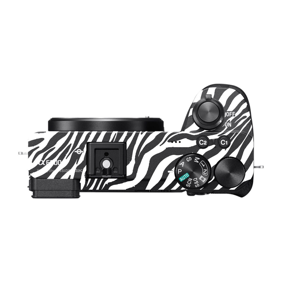 Classic Zebra Stripes Sony A6600 Camera Skins