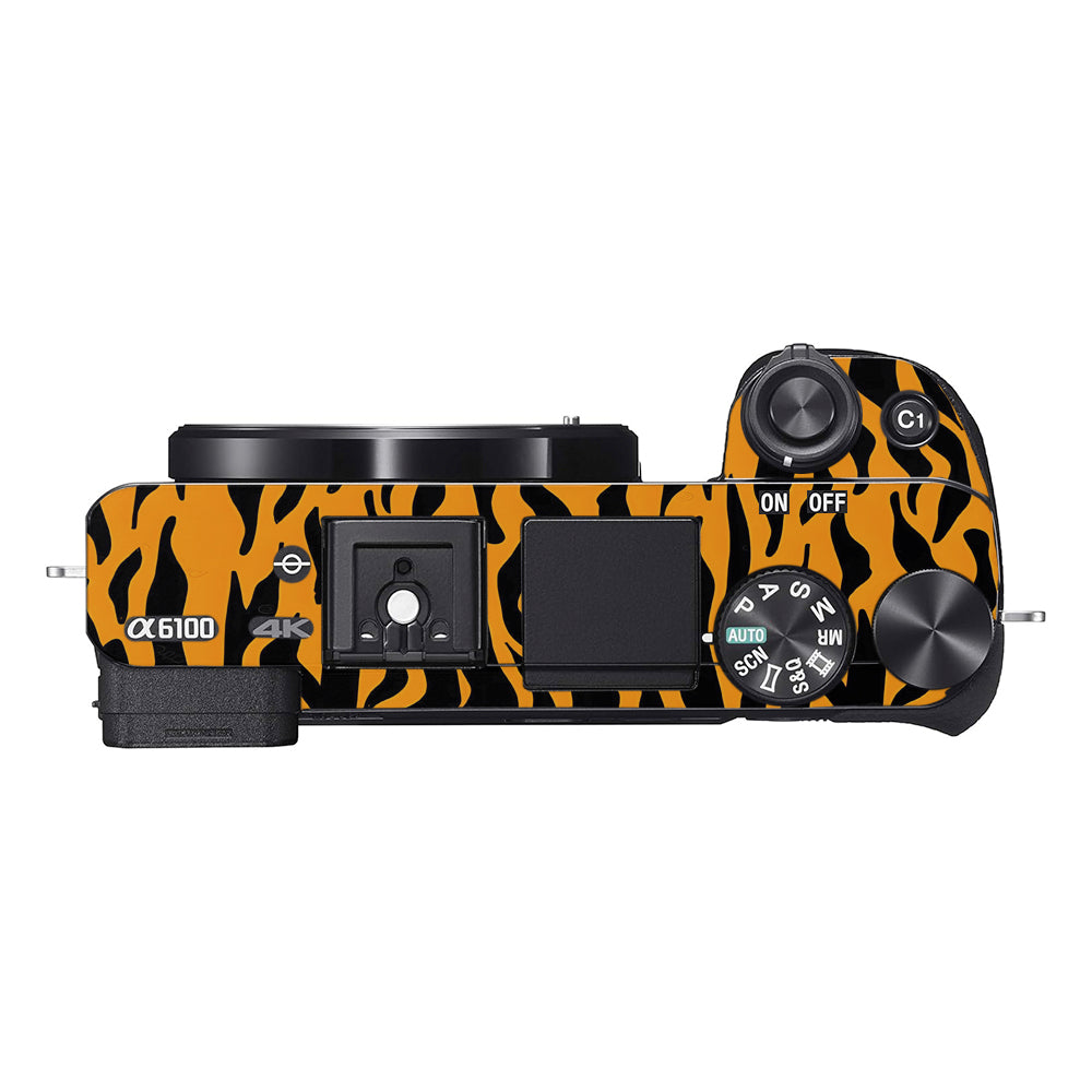 Savanna Tiger Stripes Sony A6100 Camera Skins
