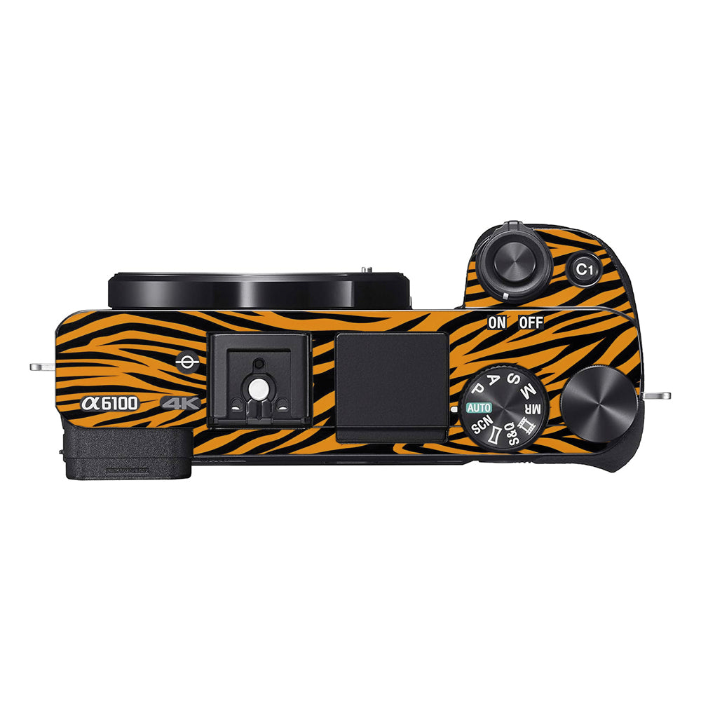 Zebra Gold Pattern Sony A6100 Camera Skins