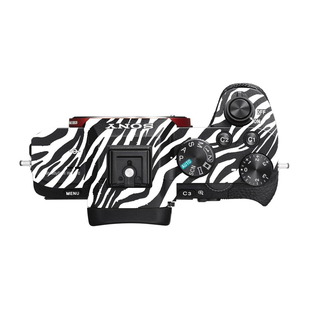 Classic Zebra Stripes Sony A7 II Camera Skins