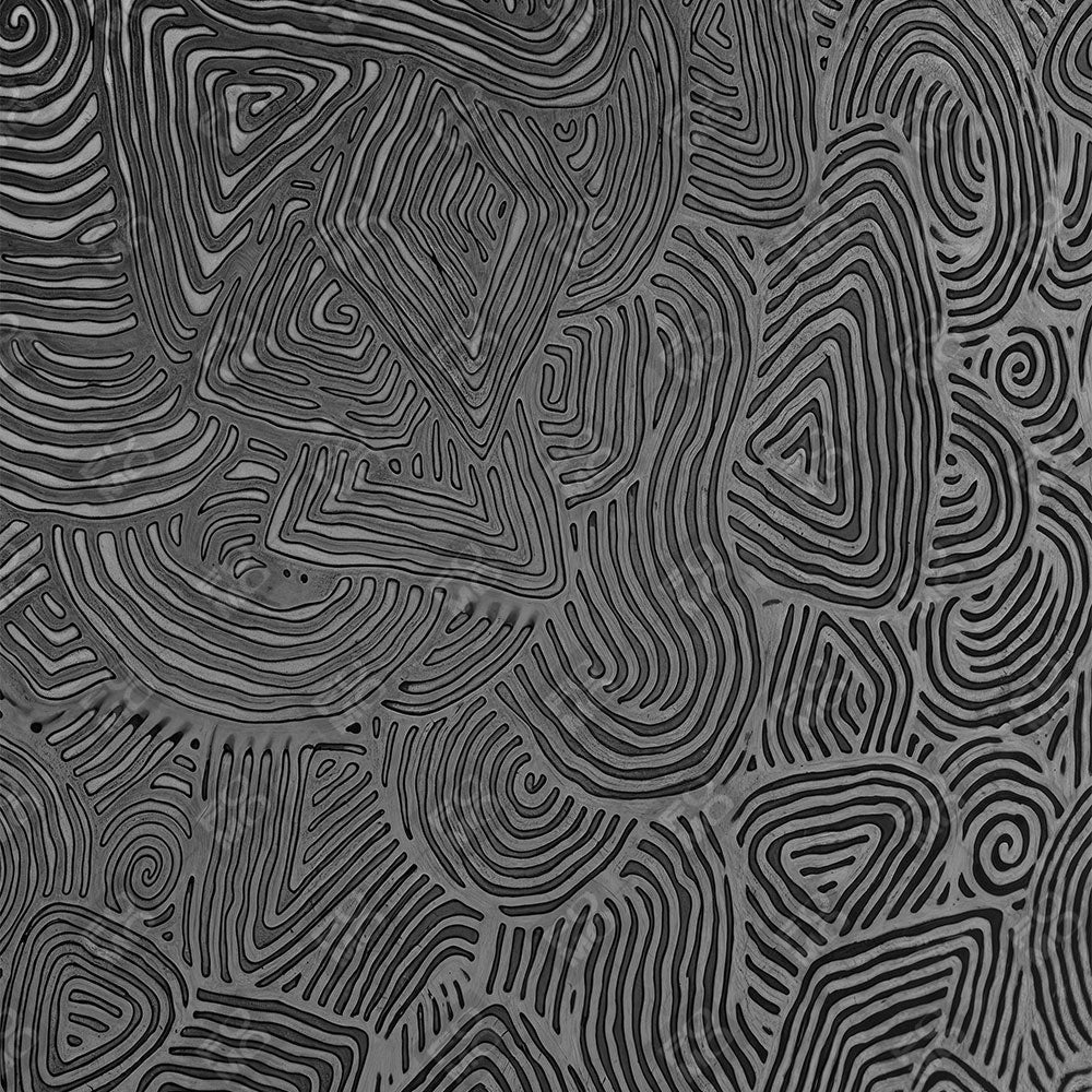 Monochrome Line Maze Sony A7RV Camera Skin