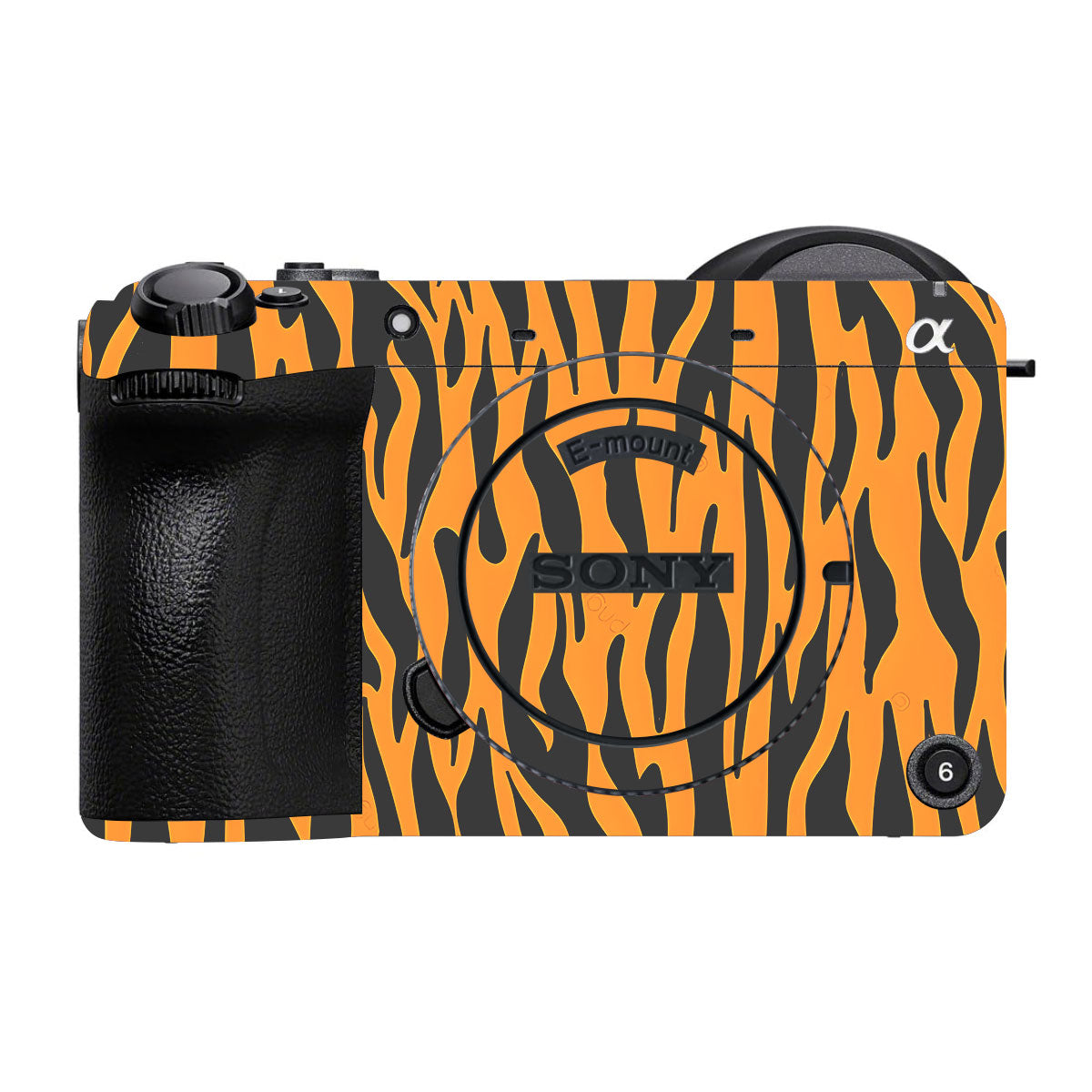 Savanna Tiger Stripes Sony FX2 Camera Skins