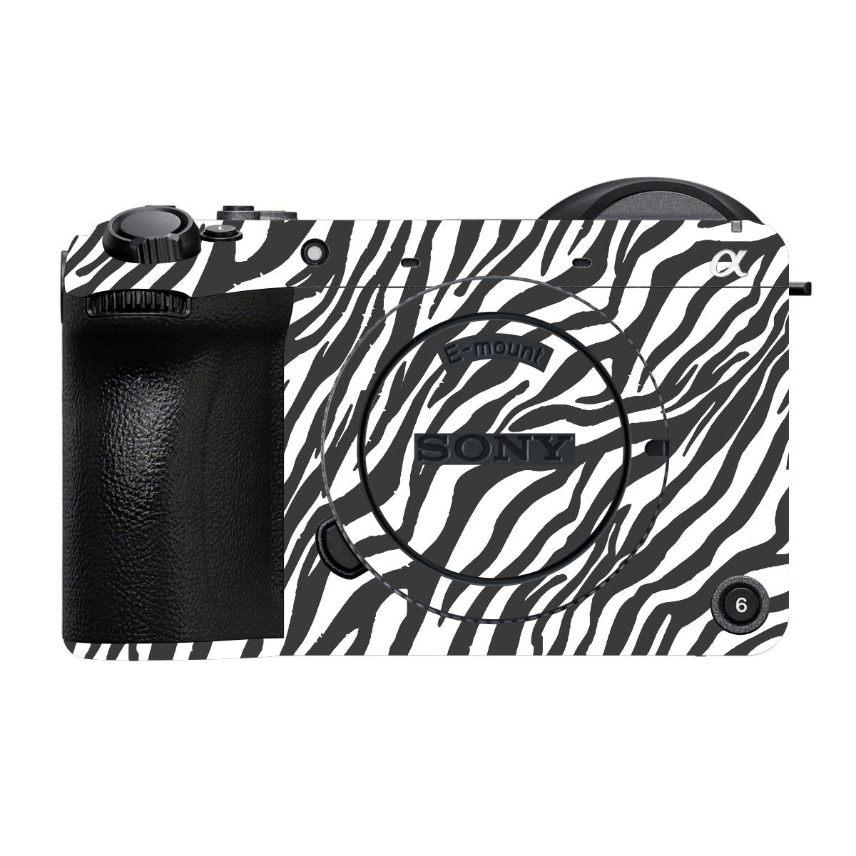 Classic Zebra Stripes Sony FX2 Camera Skins
