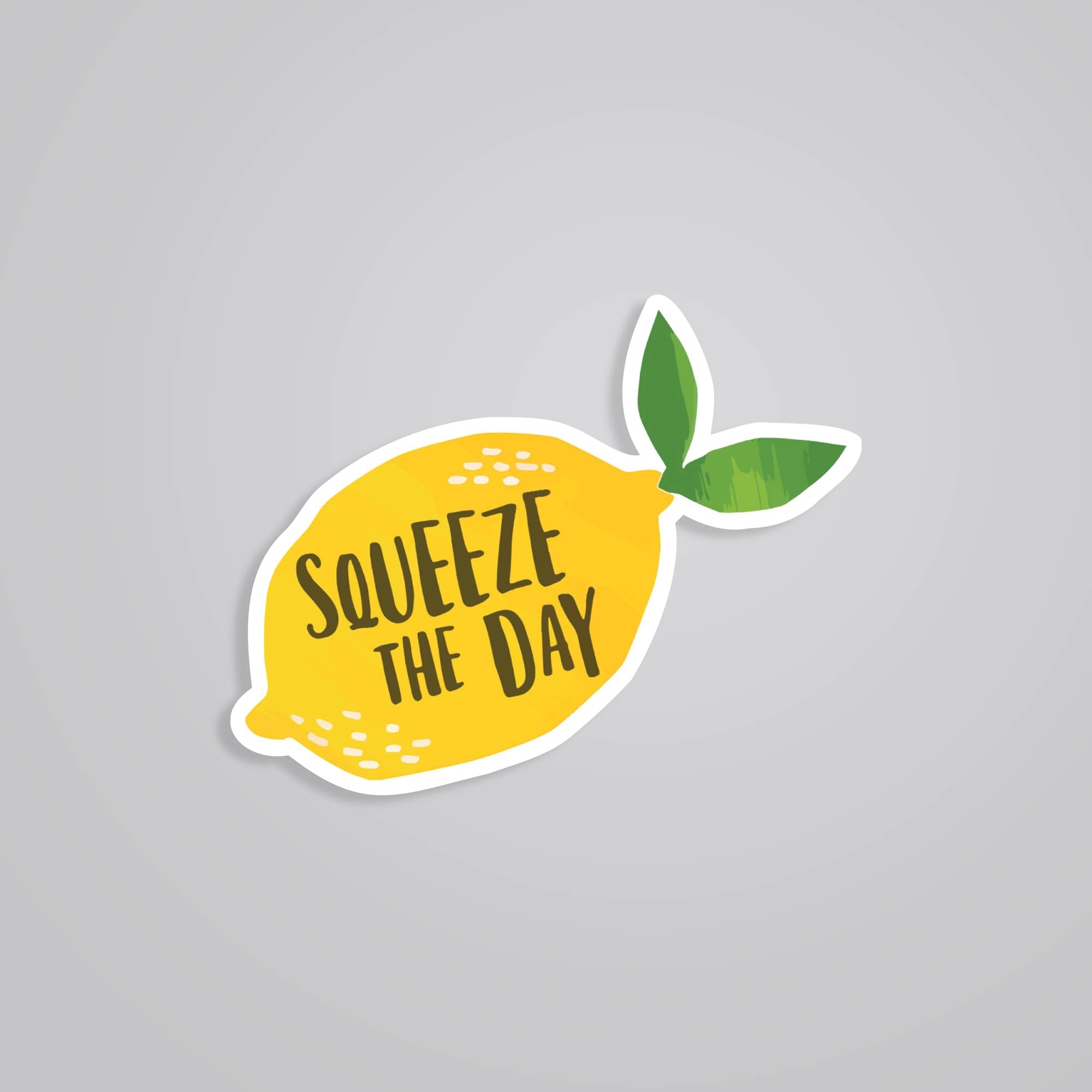 Fomo Store Stickers Motivational Squeeze the day