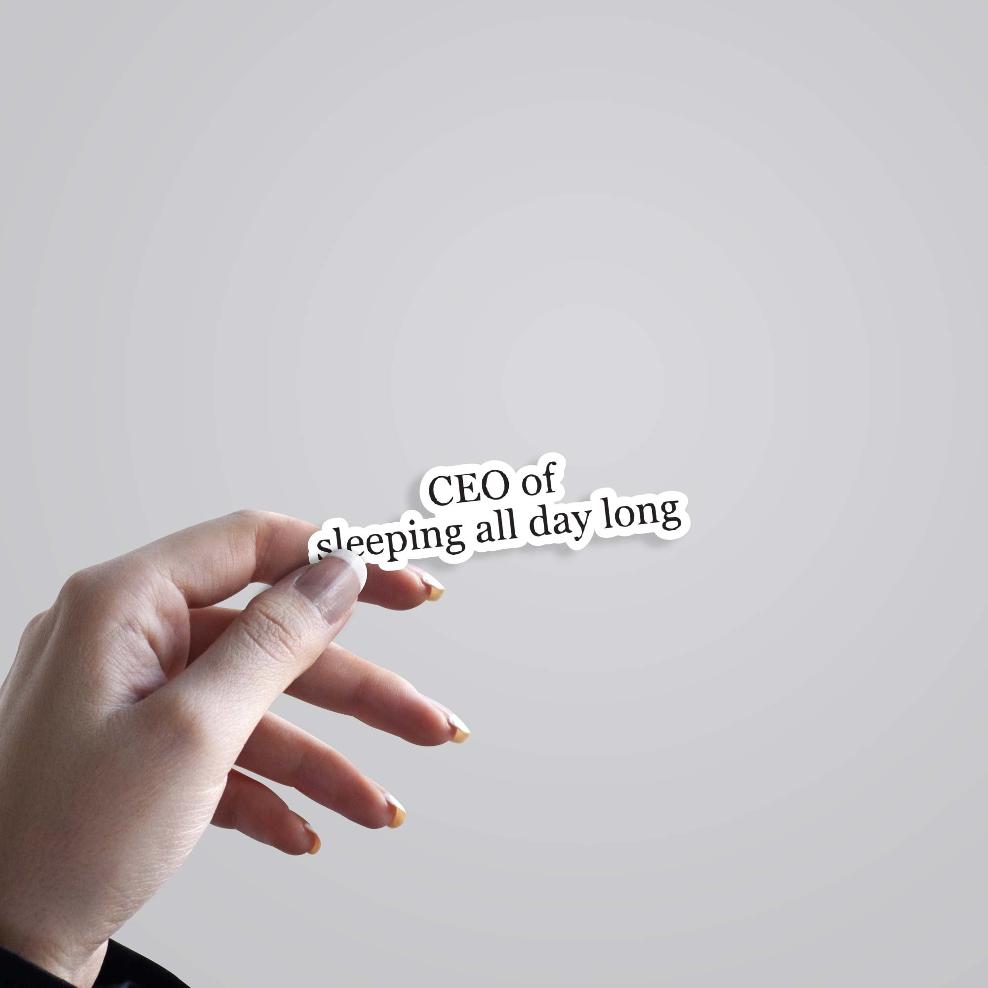 CEO of sleeping all day Witty Stickers