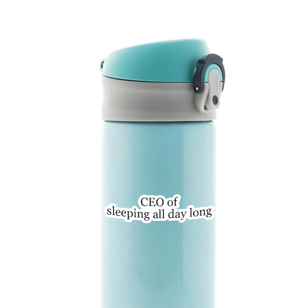 CEO of sleeping all day Witty Stickers