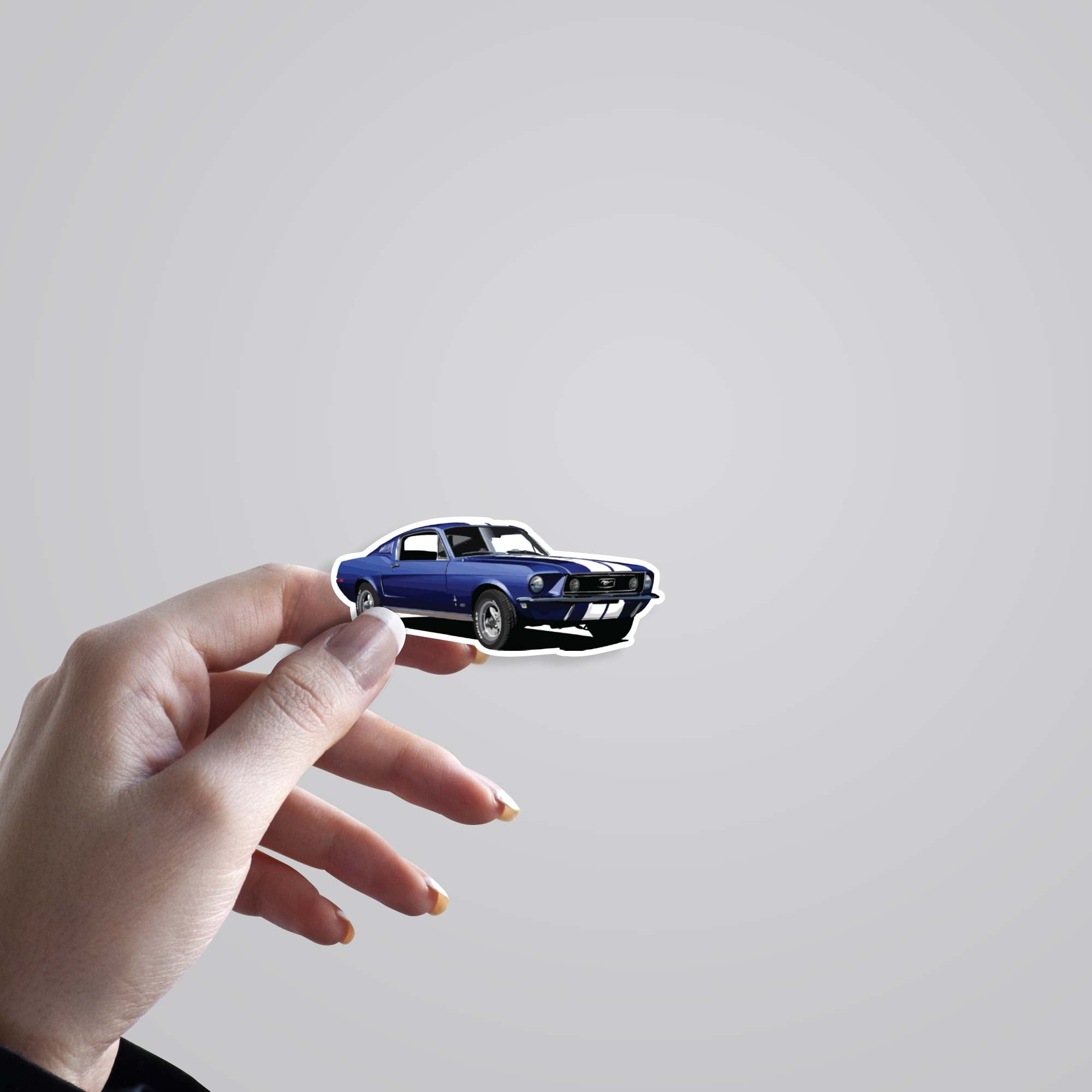 Ford Mustang Shelby GT350 Cars & Bikes Stickers