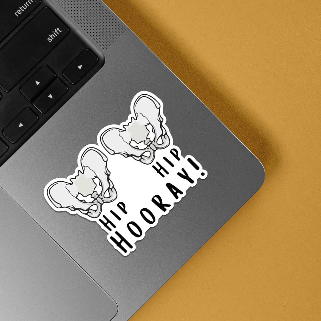 Hip Hip Hooray Witty Stickers