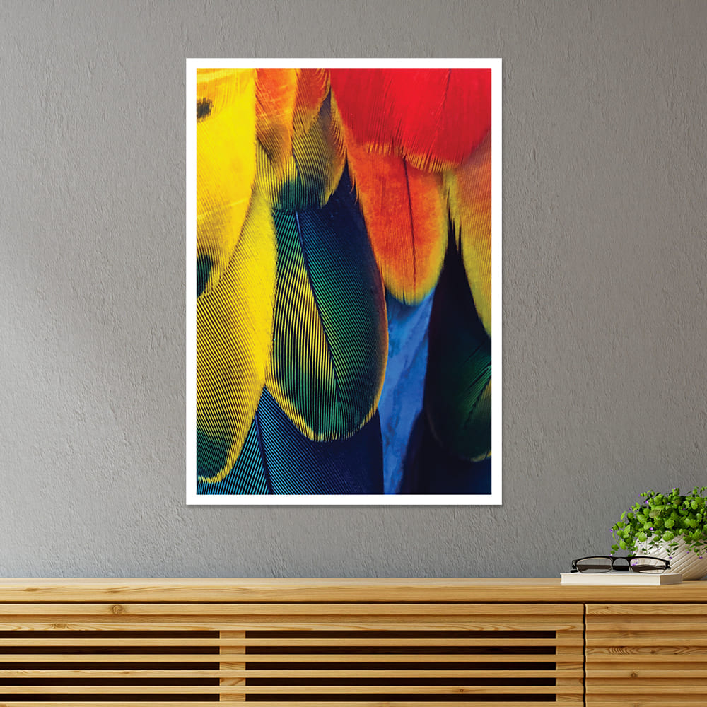 Colorful Feather Abstract Poster