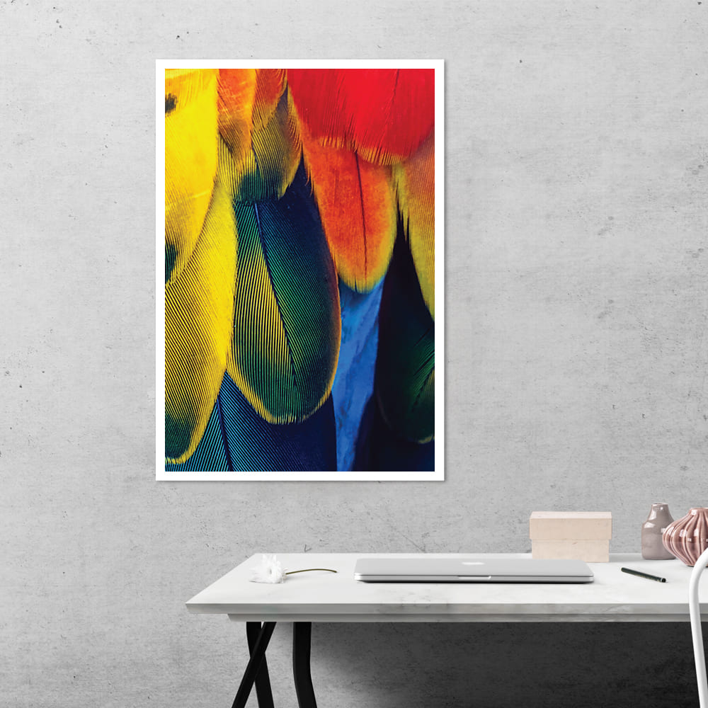 Colorful Feather Abstract Poster