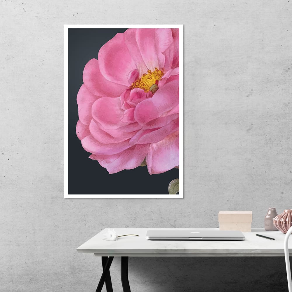 Damask Rose Botanical Poster