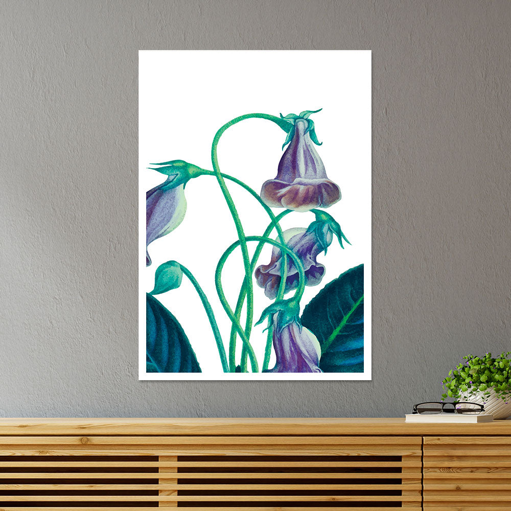 Gloxinia Flower Botanical Poster