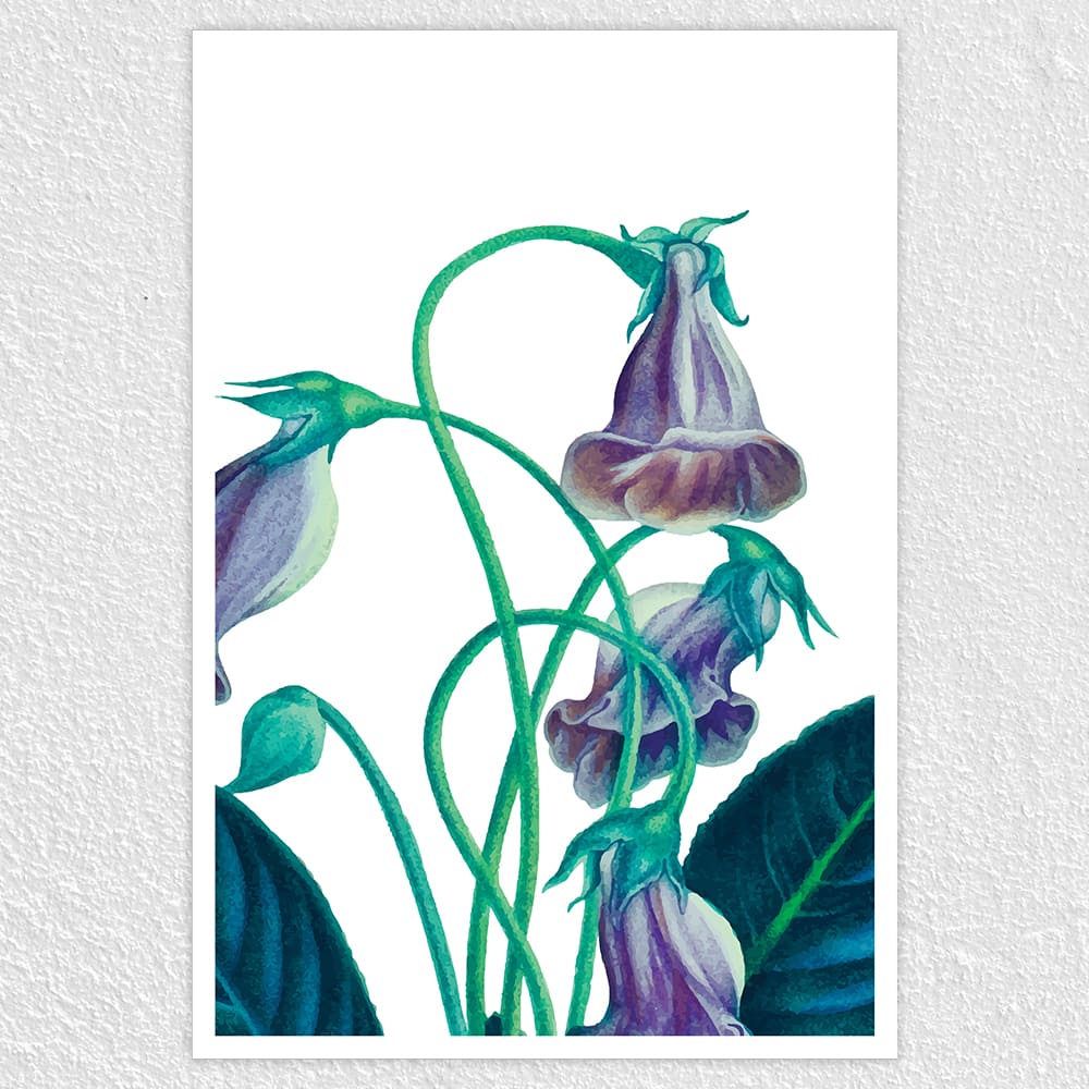 Fomo Store Posters Botanical Gloxinia Flower  