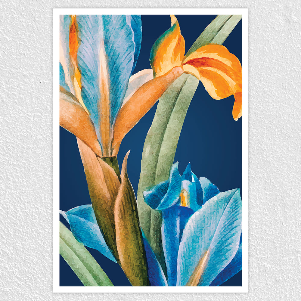 Fomo Store Posters Botanical Spanish Irish Flower  